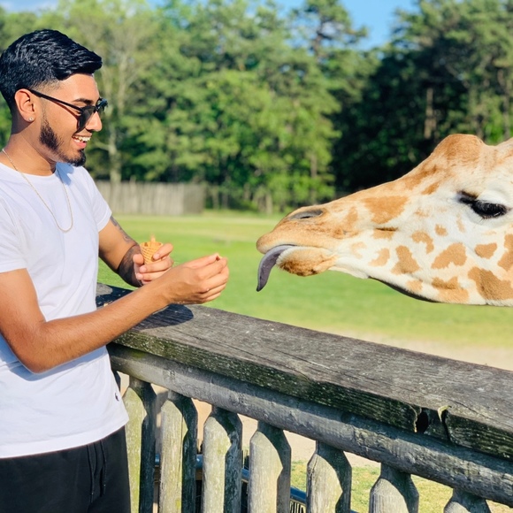 Meet your Posher, Randy - Picture 1 of 1